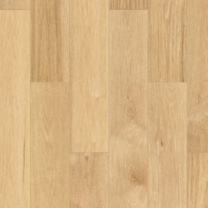r242 spc