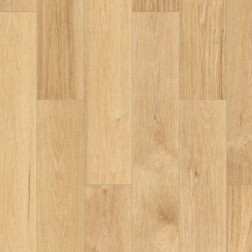 r242 spc